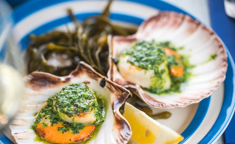 Scallops at Scallop Shell